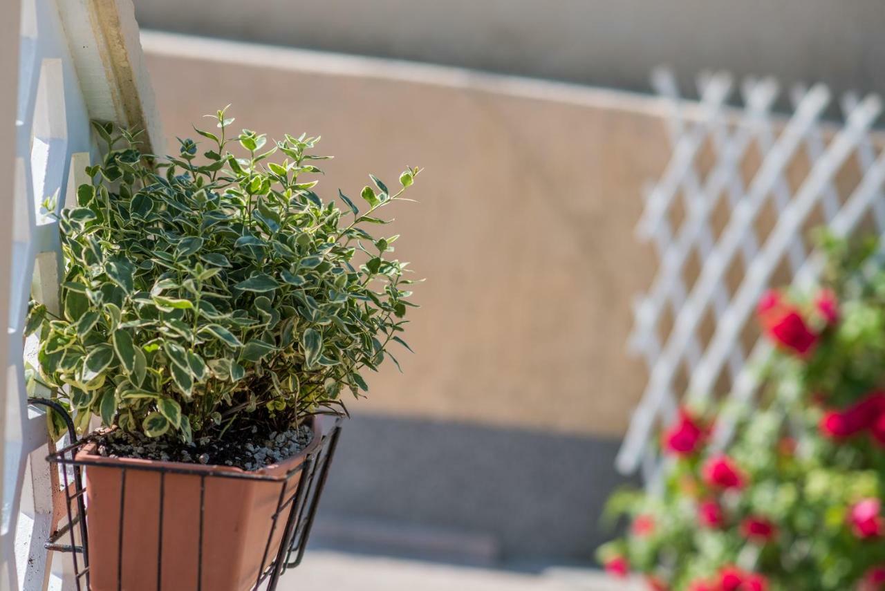 Apartmani Marija Malinska Exteriér fotografie